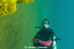 Kristen diving Makena Beach.  The disoriented pose of the... by Gordon Clawson 